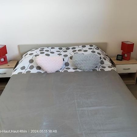 Apartment Einliegerwohnung Hagenthal-le-Haut Zewnętrze zdjęcie