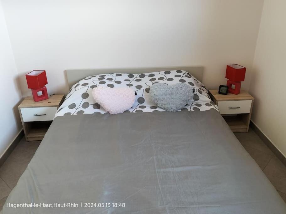 Apartment Einliegerwohnung Hagenthal-le-Haut Zewnętrze zdjęcie