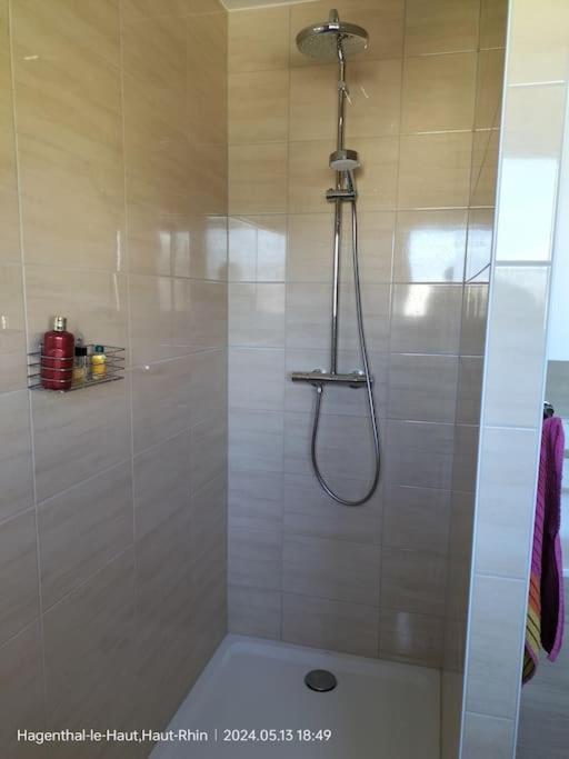 Apartment Einliegerwohnung Hagenthal-le-Haut Zewnętrze zdjęcie
