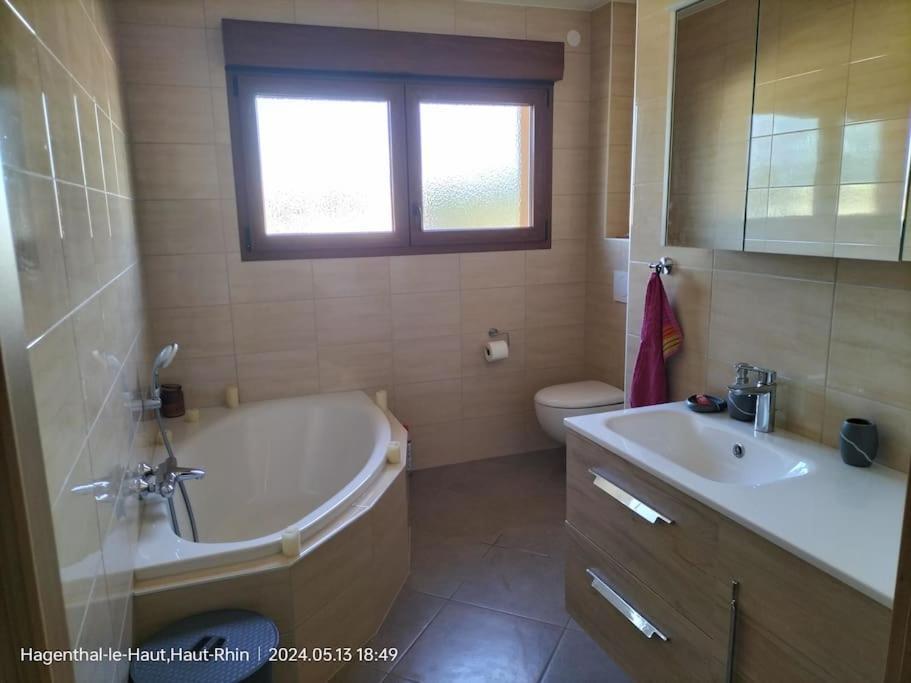 Apartment Einliegerwohnung Hagenthal-le-Haut Zewnętrze zdjęcie